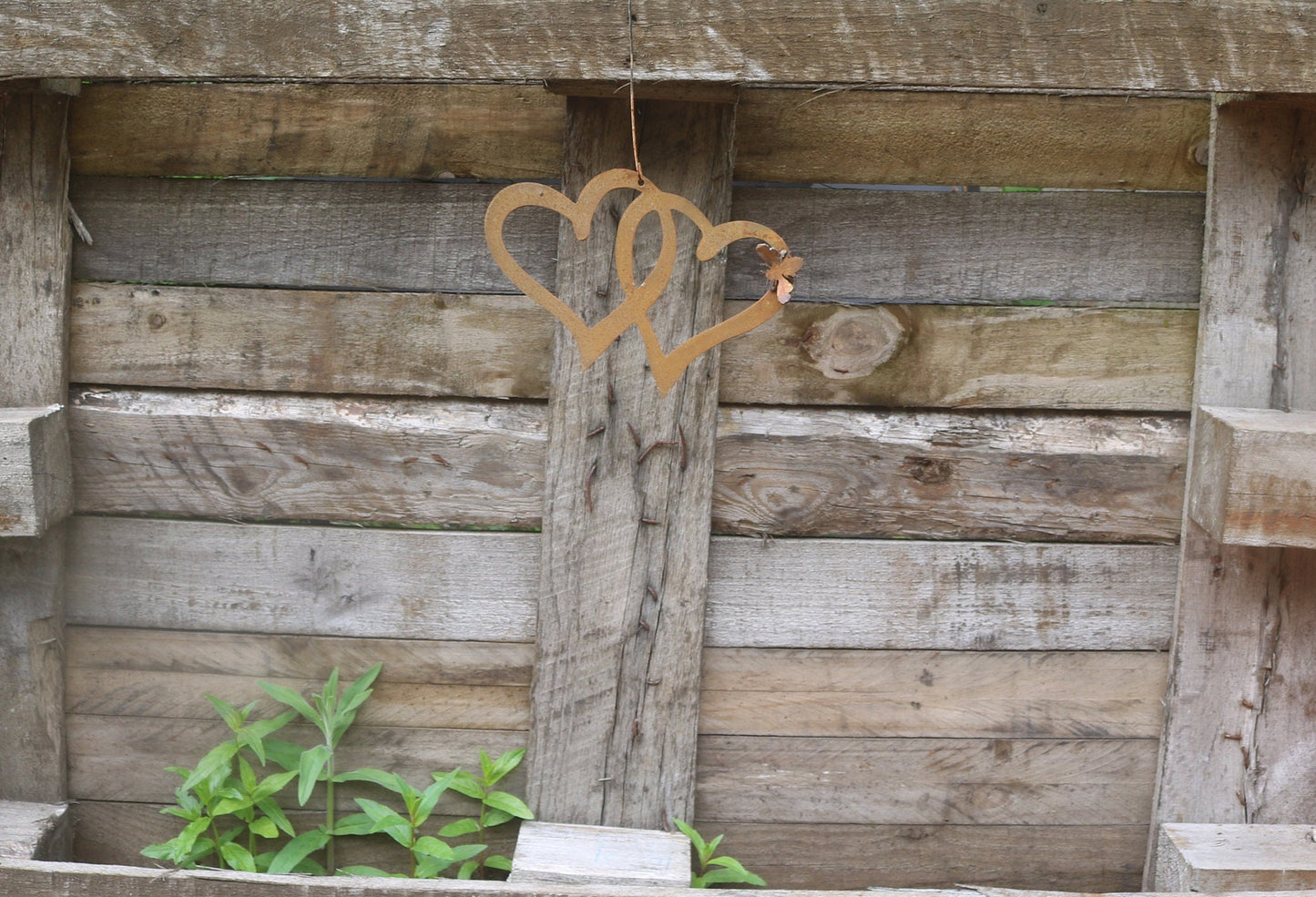 Hanging Entwined Hearts With 3D Bee