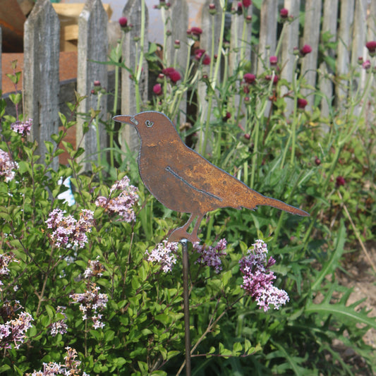 Blackbird On Spike