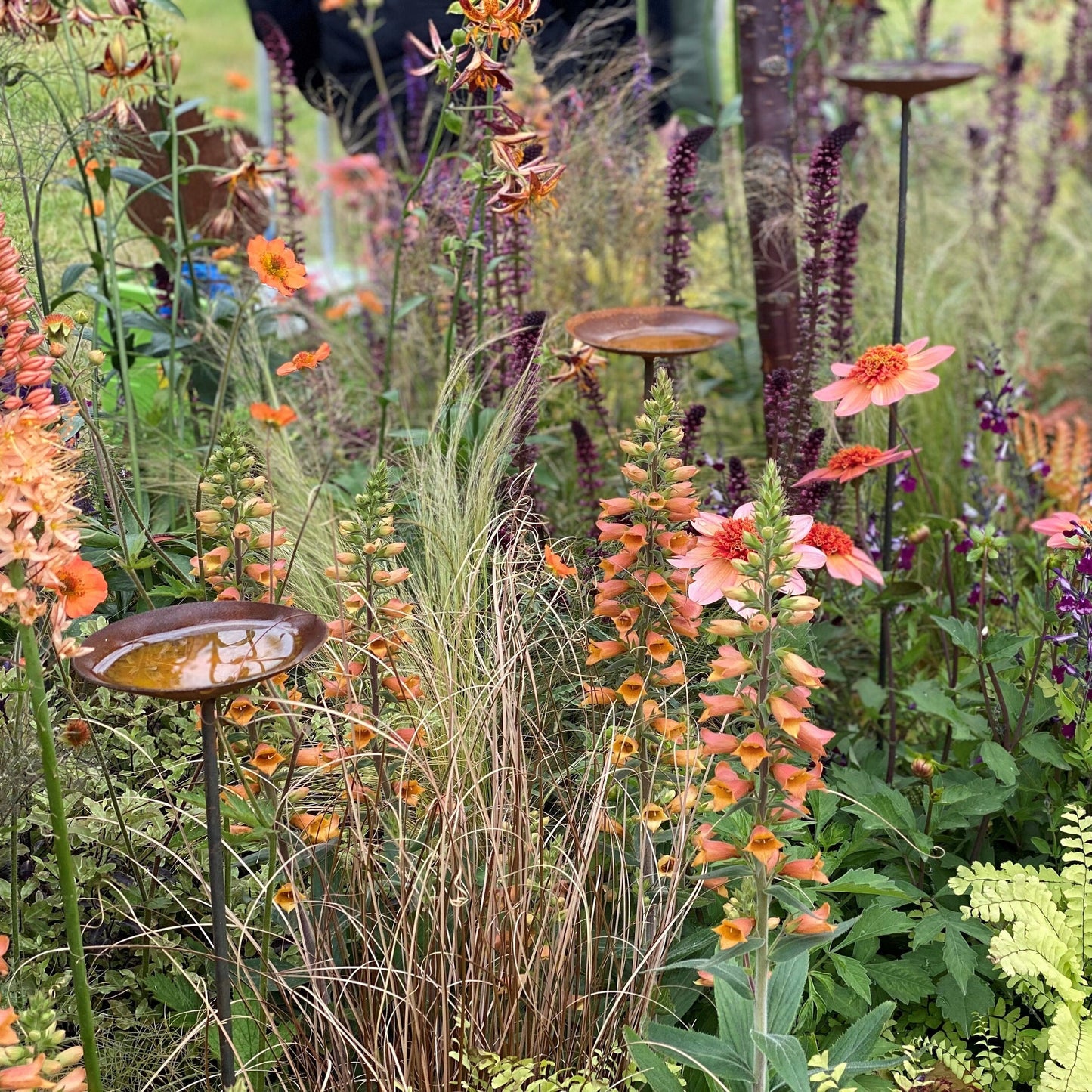 Rain Catcher On Spike