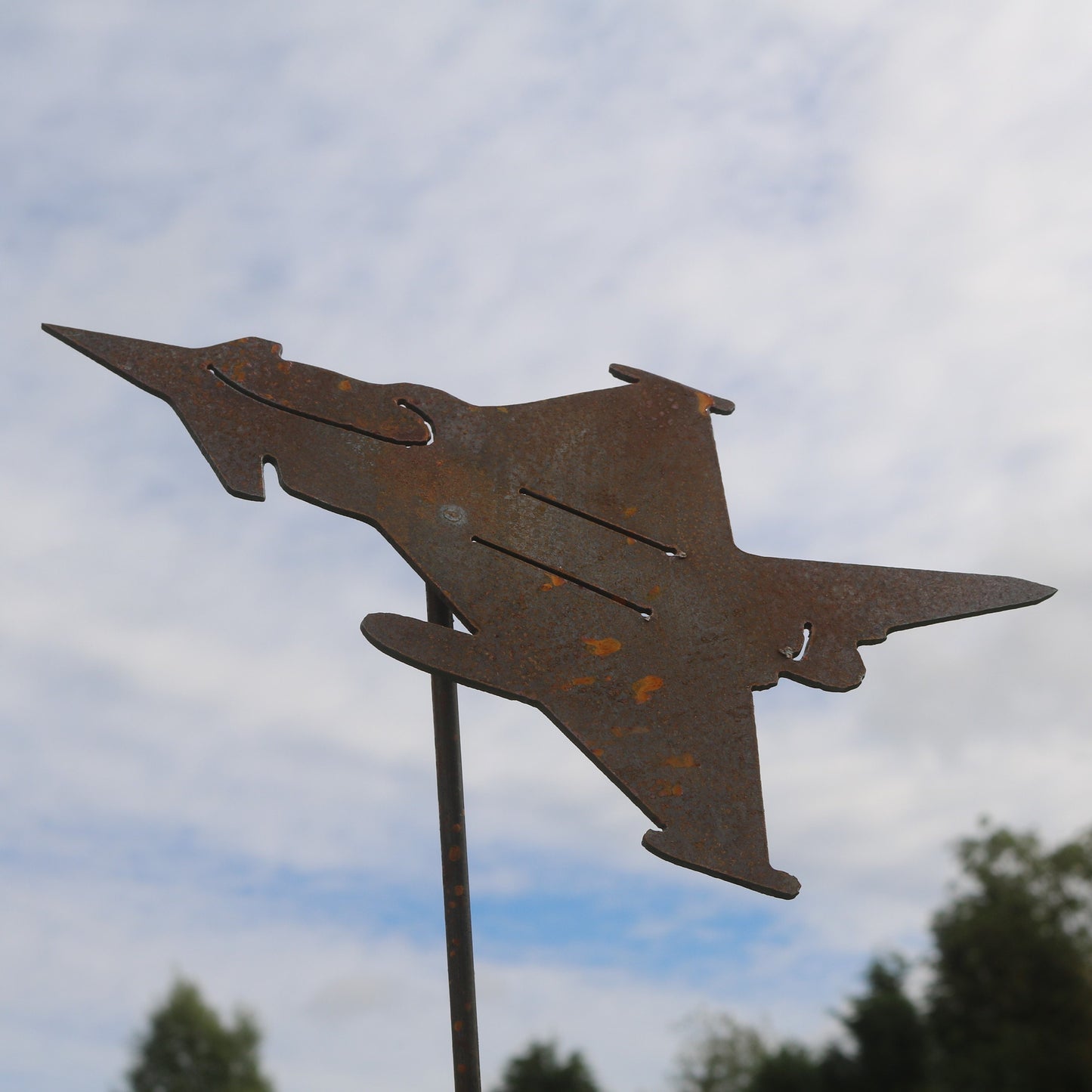 Eurofighter Typhoon Aeroplane On Spike