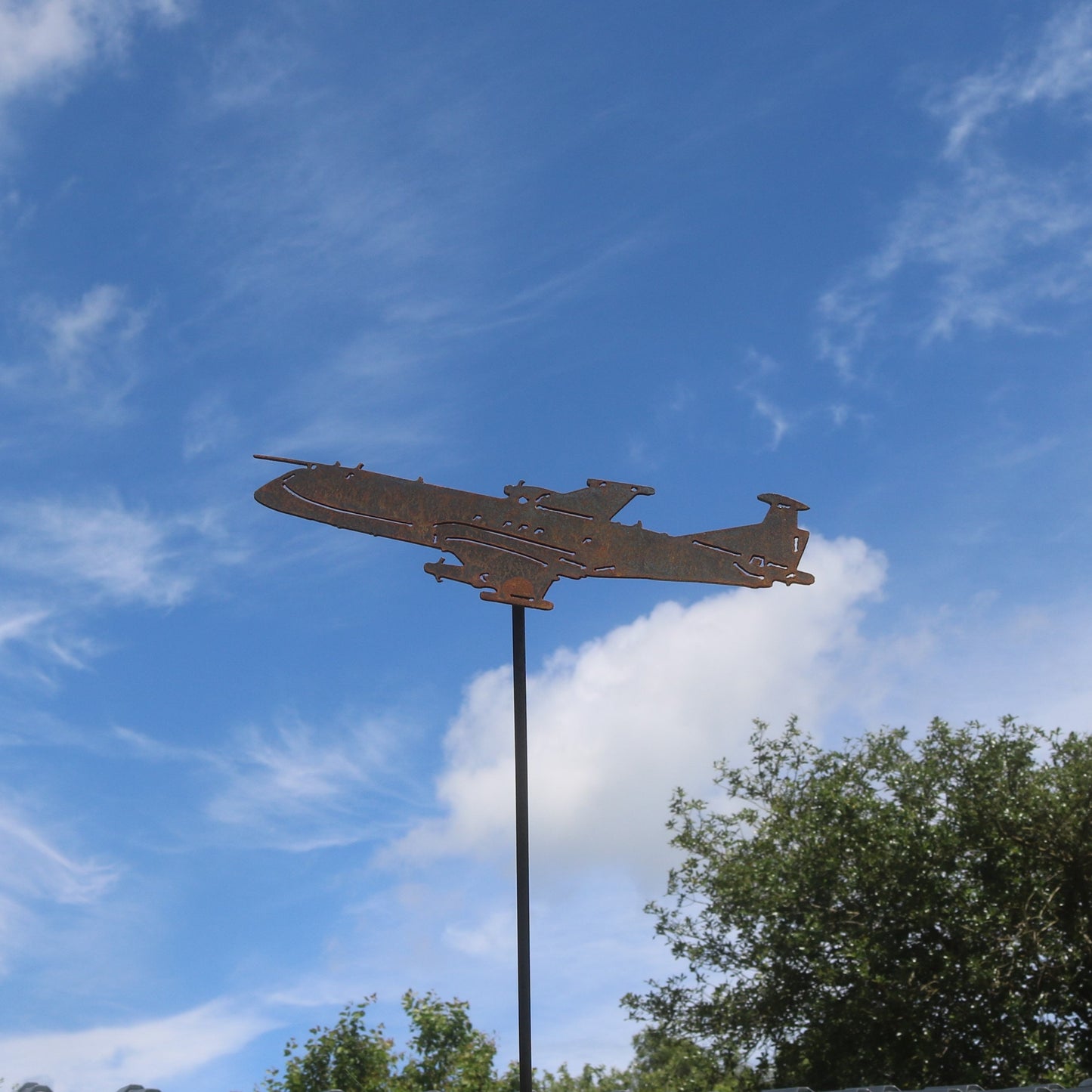 Nimrod R1 Aeroplane On Spike
