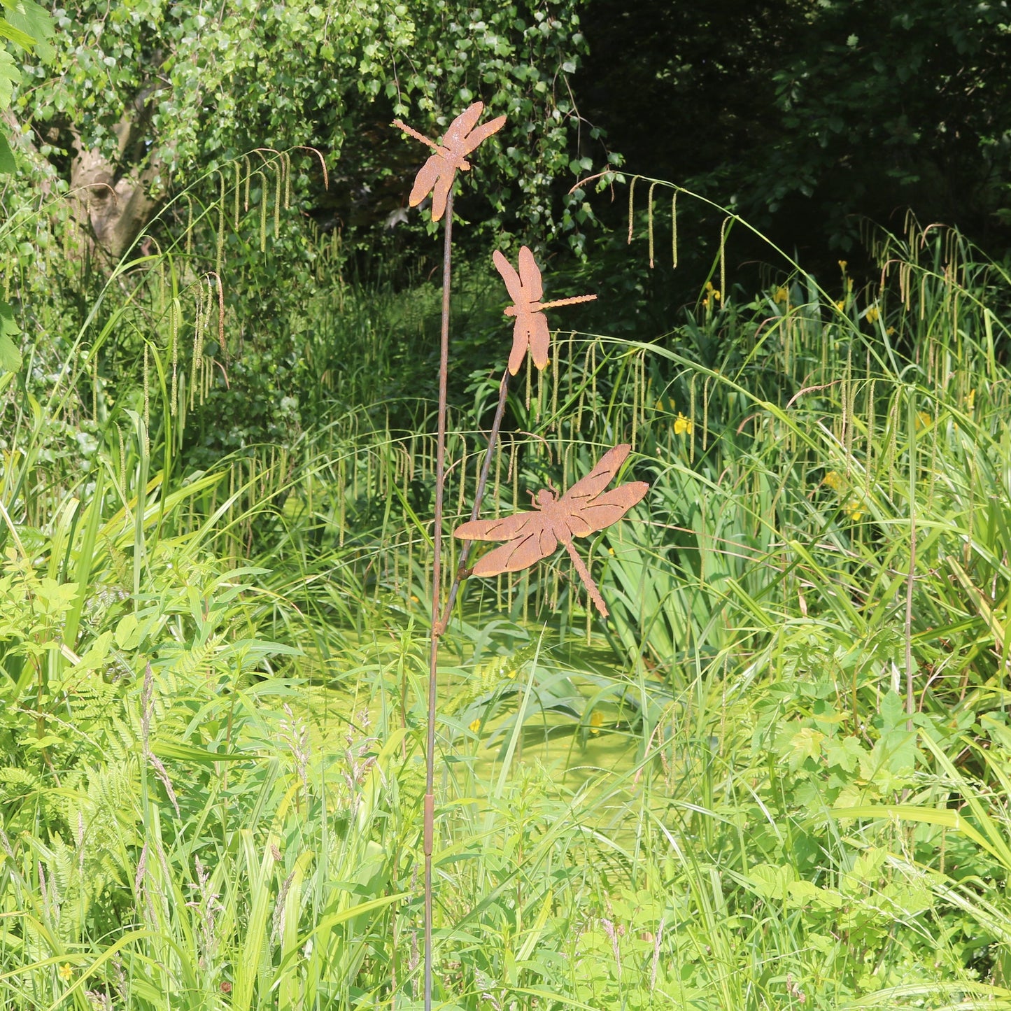 Dragonflies On Spike