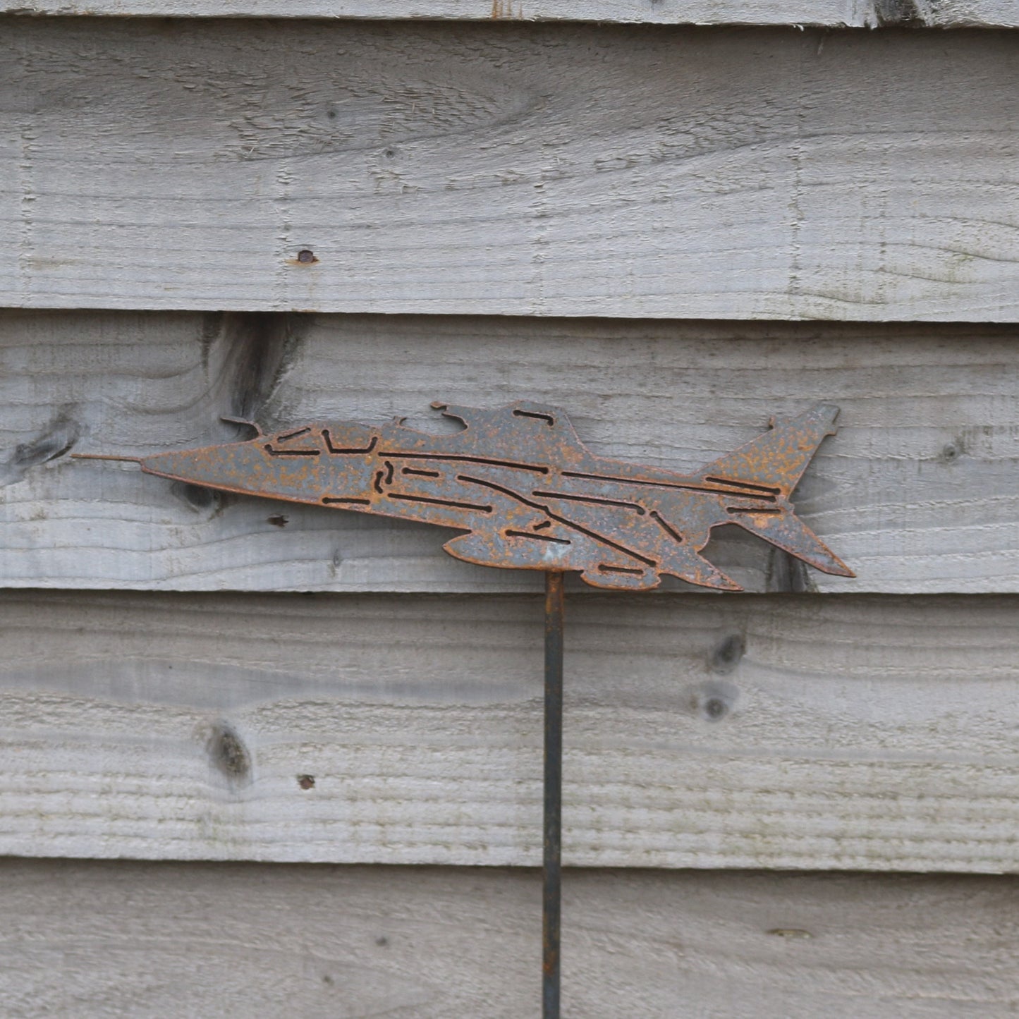 Jaguar Aeroplane On spike