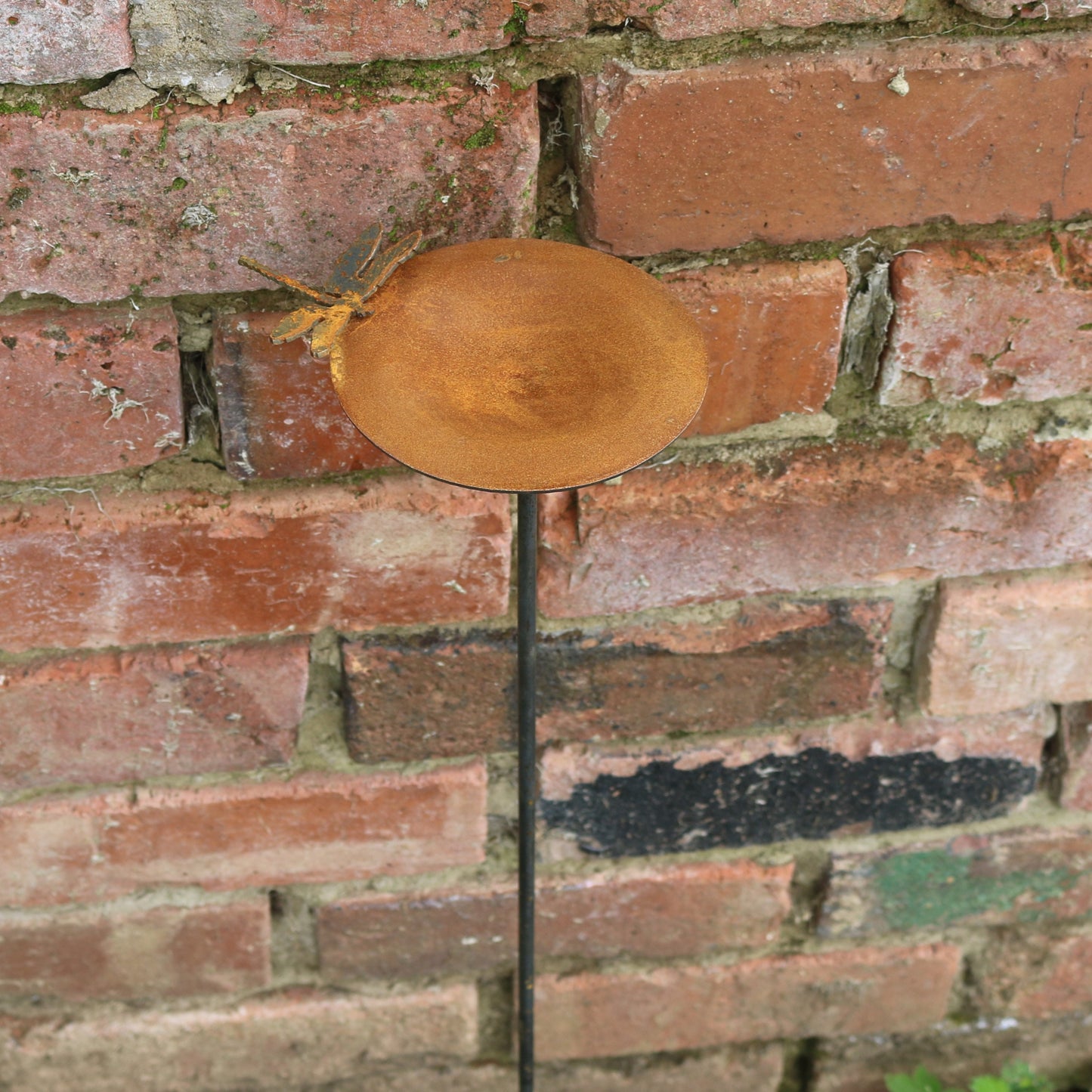 Corten Rain Catcher With Dragonfly On Spike