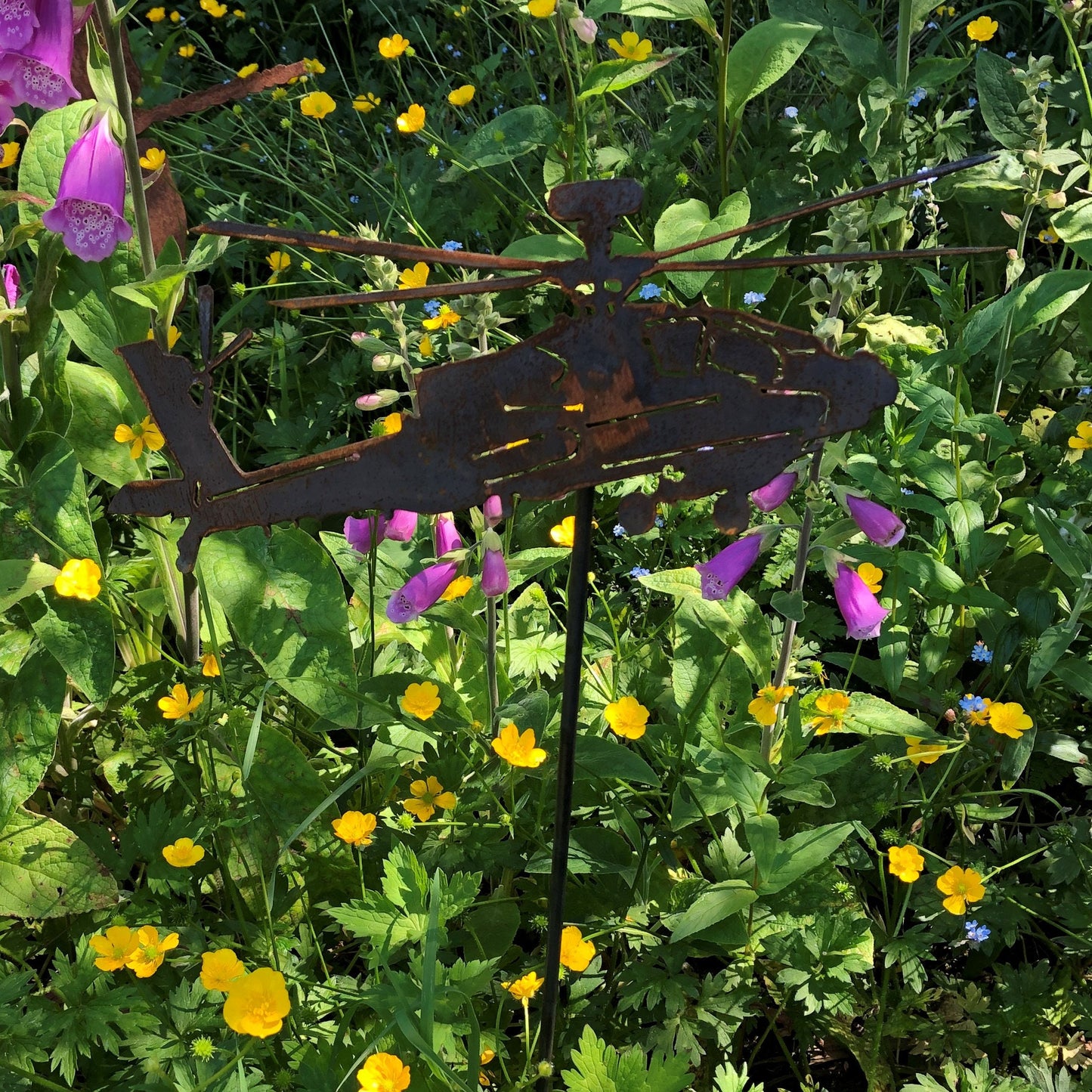 Apache Helicopter On Spike