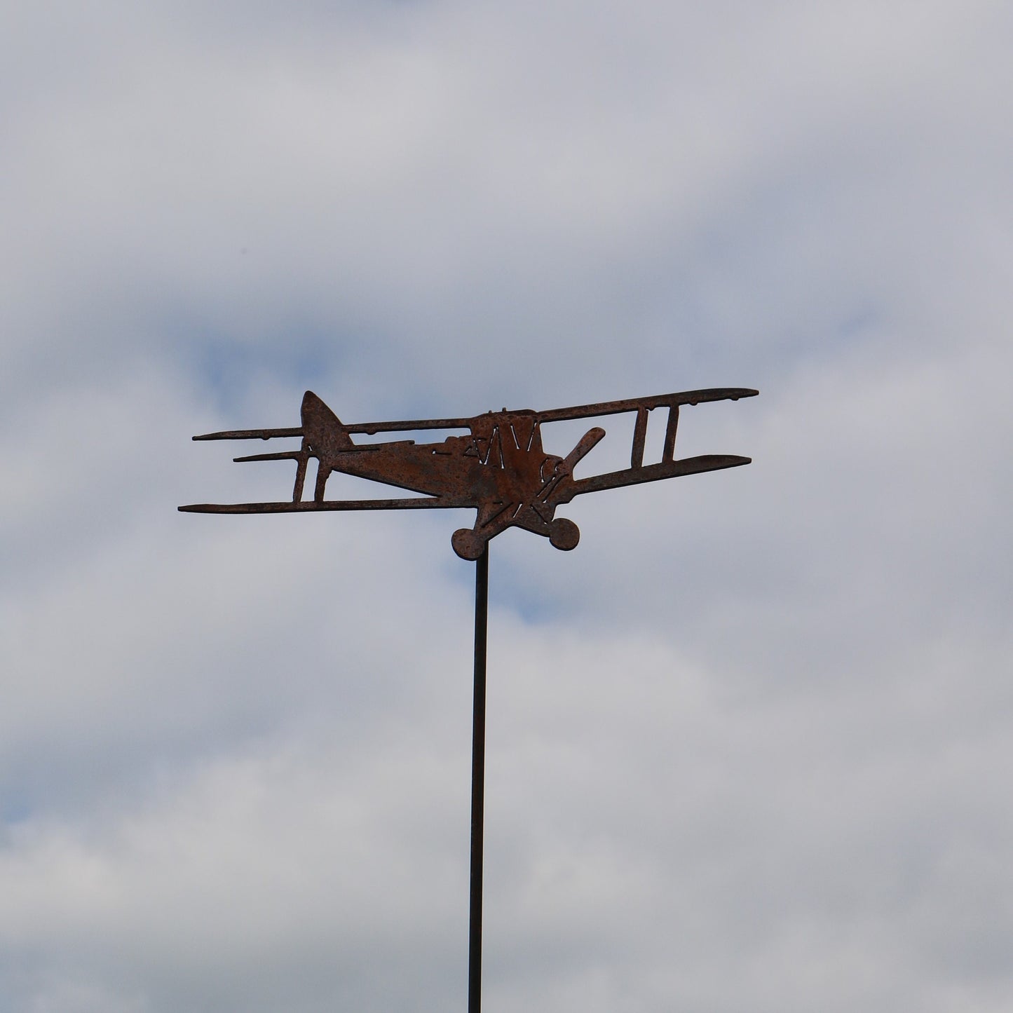 Tiger Moth Aeroplane On Spike