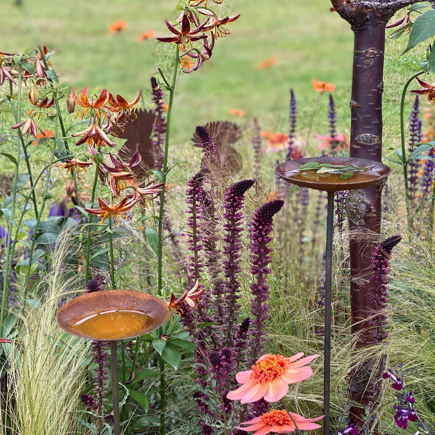 Rain Catcher On Spike