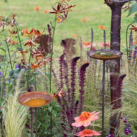 Rain Catcher On Spike