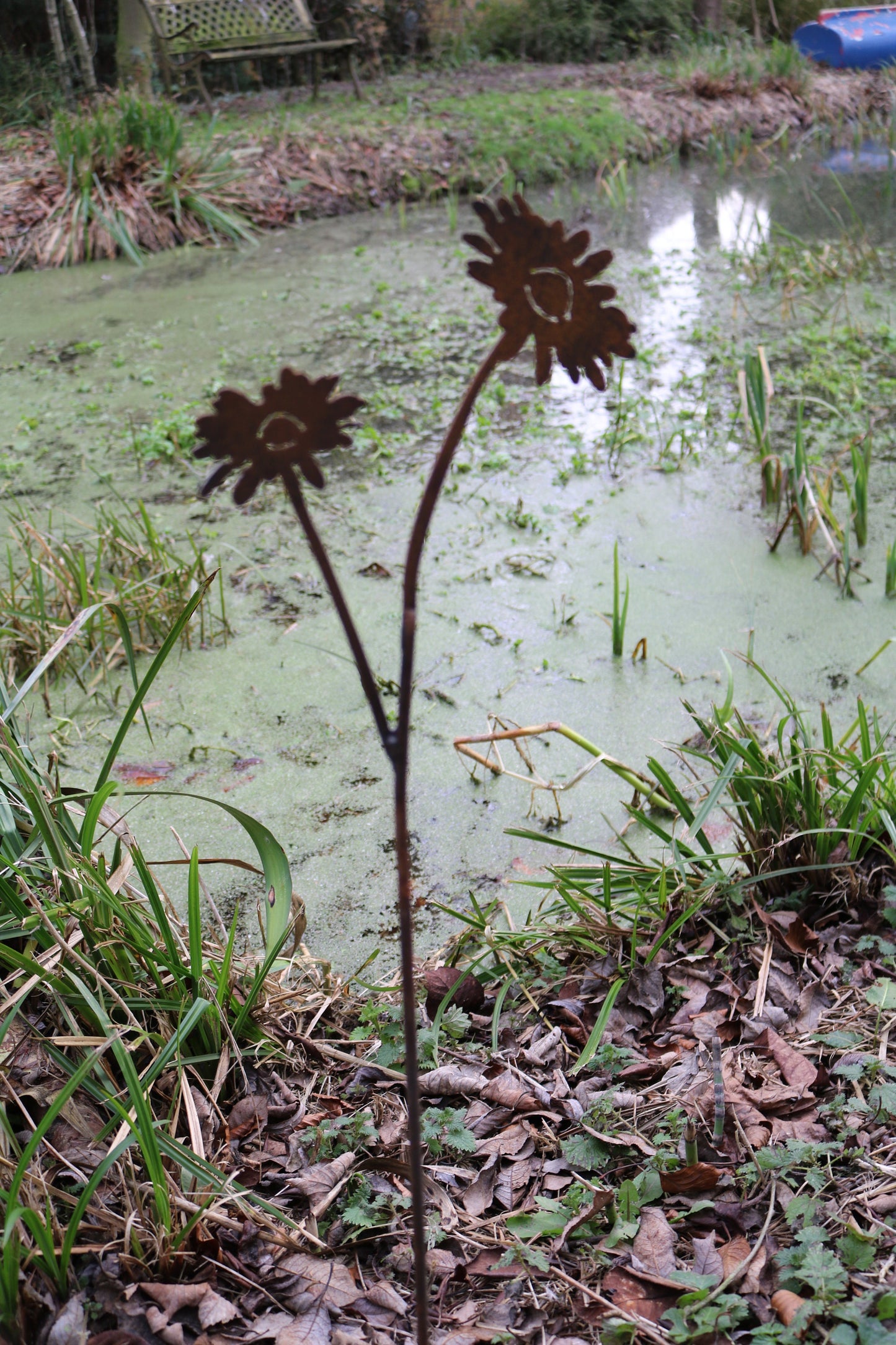 Daisies On Spike