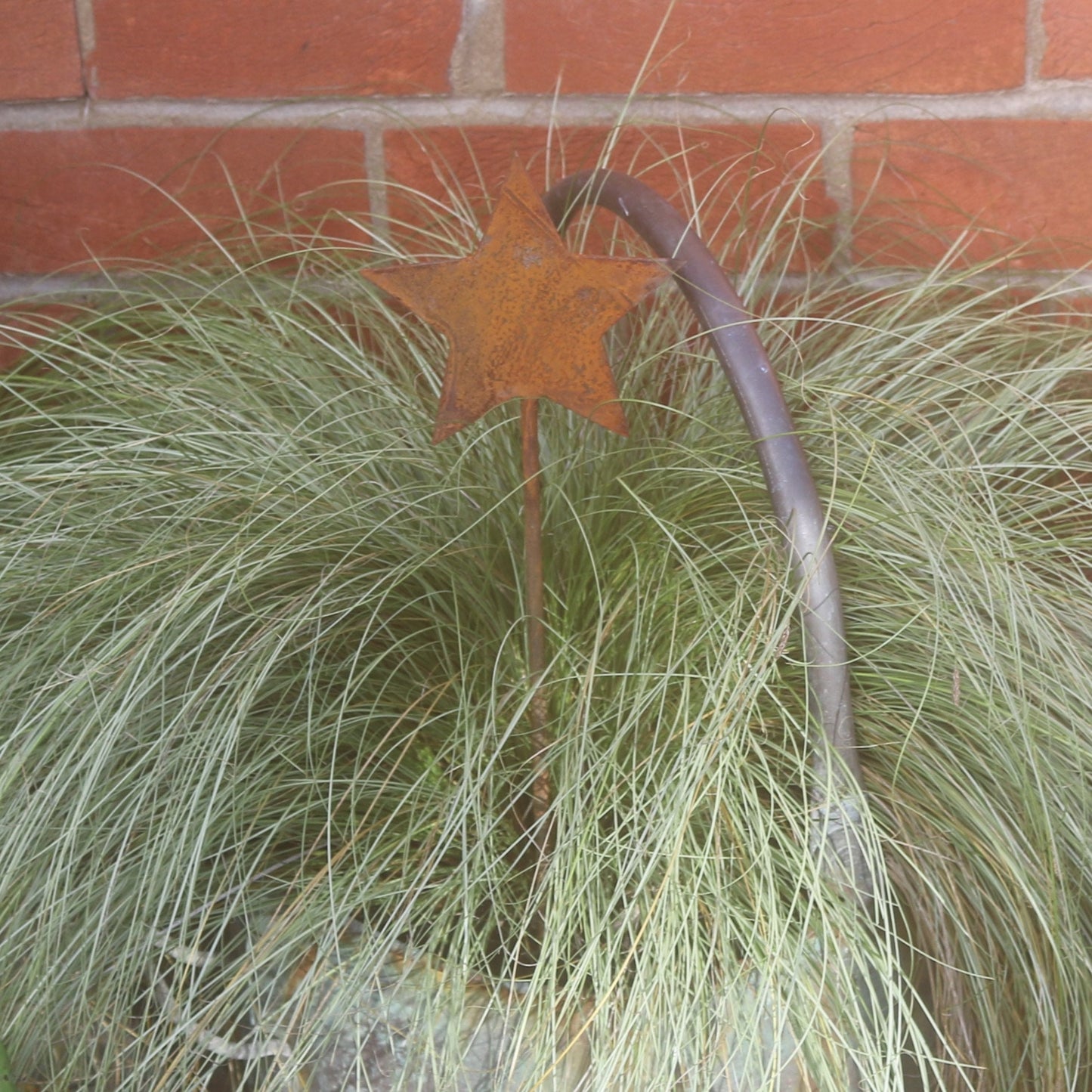 Star Plant Pot Decoration