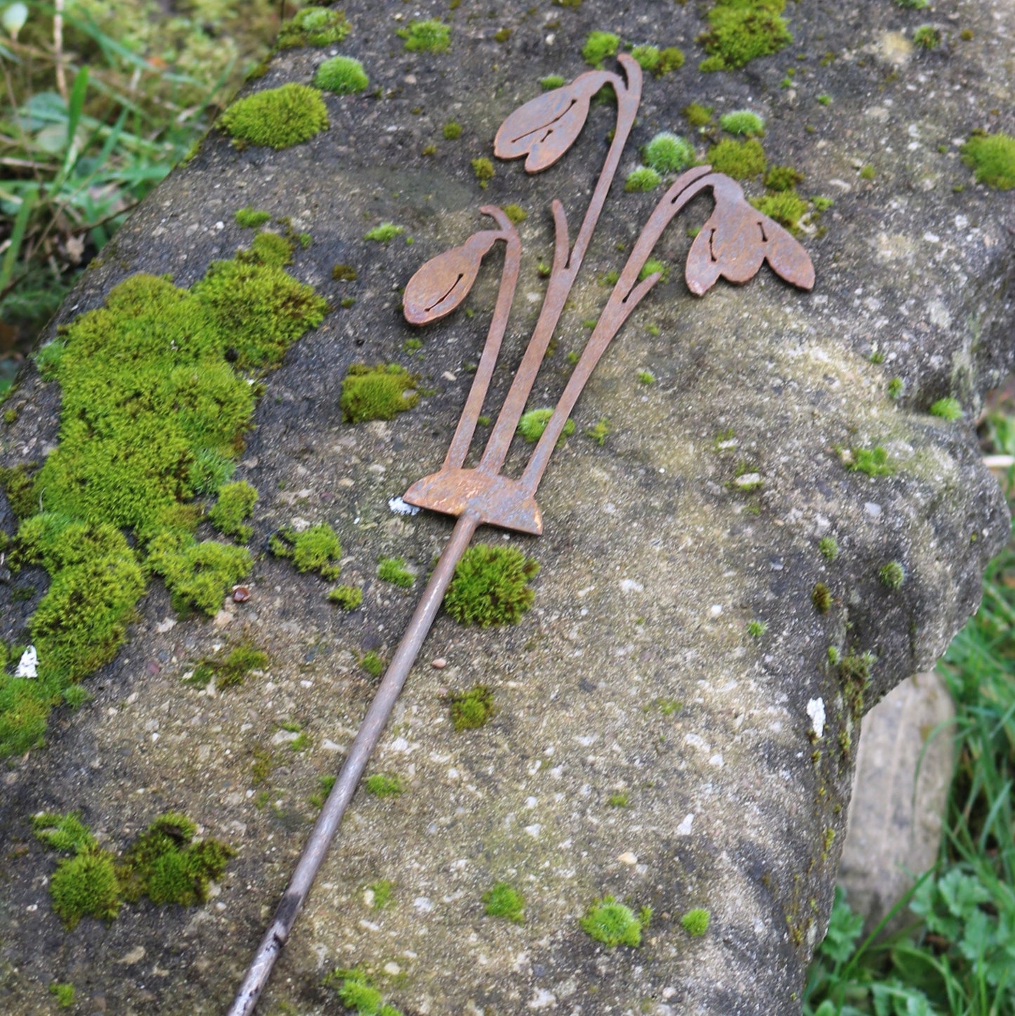 Snowdrops Plant Pot Decoration