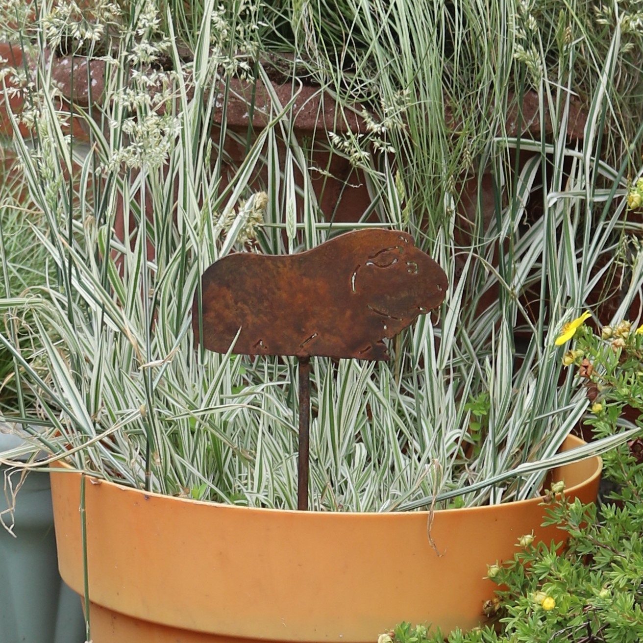 Guinea Pig Plant Pot Decoration