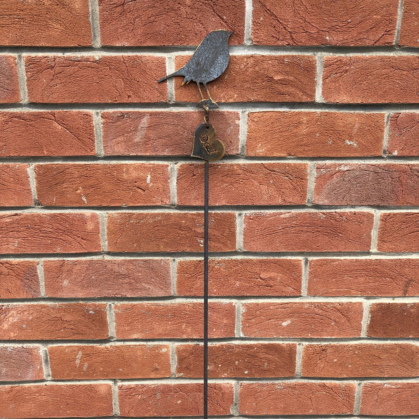 Personalised Robin On Spike