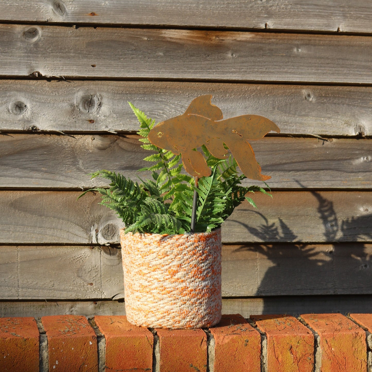 Goldfish Plant Pot Decoration